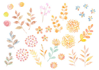 水彩ベクター 秋の植物のイラストセット