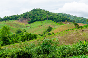 Obraz premium Shifting cultivation landscape of agriculture on the hill, bald mountain