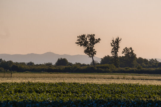sunrise over the field mountain in a background