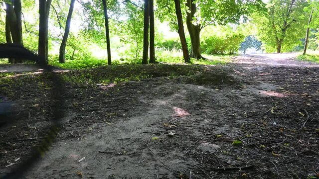 MTB trail riding on the MTB bicycle in the summer season