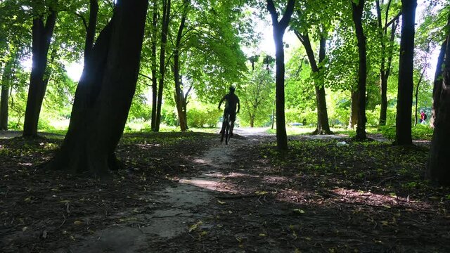 MTB trail riding on the MTB bicycle in the summer season