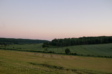 Fototapeta na wymiar wheat fields in a sunrise