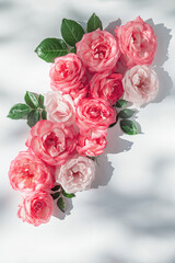 Floral composition made of beautiful pink rose buds lying on white background with sunlight. Nature...