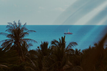 The yacht sails on the sea on a sunny summer day. Palm trees in the foreground. View from balcony.