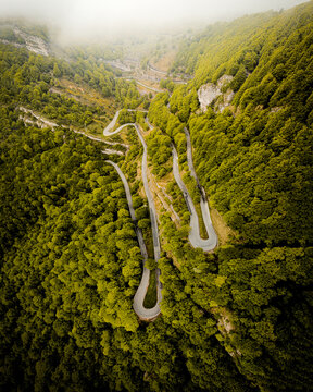 Carretera sinuosa en el bosque primaveral