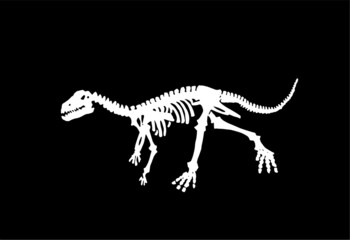 Obraz na płótnie Canvas Vector skeleton of raptor running on black, graphical illustration,paleontological element 