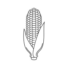 Corn cob outline icon. Simple line vegetable sign. Black and white illustration of maize.