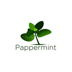 Peppermint Plant and Leaves Logo Vector Illustration. Herbal mint tea