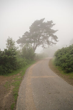 Moring Excersise At Hindhead