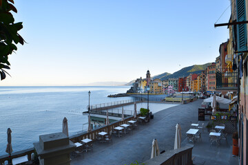 Fototapeta premium view of the characteristic colored houses in Camogli overlooking the sea