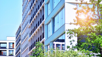 Eco architecture. Green tree and glass office building. The harmony of nature and modernity. Reflection of modern commercial building on glass with sunlight. 
