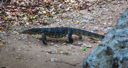 Phraya Nakhon Cave, Khua Kharuehat pavillion temple in Khao Sam Roi Yot National Park in Prachuap Khiri Khan, Thailand