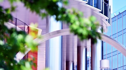 Eco architecture. Green tree and glass office building. The harmony of nature and modernity. Reflection of modern commercial building on glass with sunlight. 