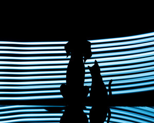 Dog and cat silhouette against the backlight. Light painting photography. 