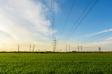 power lines run through green farmland with rich blue skies