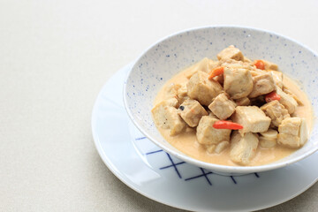 Lodeh Tahu Tempe, Indonesian Traditional Food made from Tofu, Tempeh, and Coconut Milk. Spicy, Savoury for Daily Menu (Lodeh Jawa). Copy Space