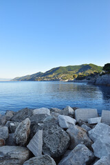 Fototapeta na wymiar panoramic view of the sea in Camogli Liguria
