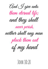 And I give unto them eternal life; and they shall never perish, neither shall any man pluck them out of my hand. Bible verse quote
