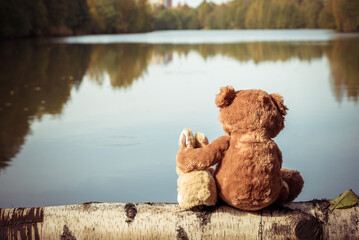Lonely brown teddy bear hugs fluffy stuffed toy bunny sitting on fallen birch tree trunk near tranquil river on autumn day backside view