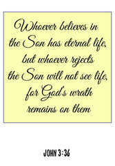 Whoever believes in the Son has eternal life. Bible verse quote 