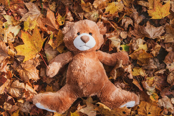 Funny brown fluffy teddy bear toy lies on large pile of dry orange leaves in autumn park on nice...