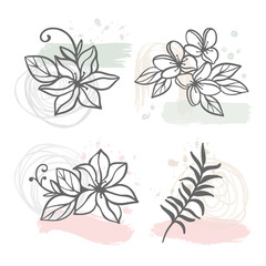 Fototapeta na wymiar ABSTRACT LINE FLOWERS Floral Sketch With Hydrangea Jasmine Sakura Flowers And Branch On White Background Botanic Cartoon Clip Art Vector Illustration Set