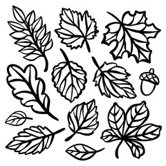 Fototapeta premium AUTUMN LINE LEAVES Monochrome Collection Of Plant Leaves Carved Openwork Contour Silhouettes For Plotter Cutting And Print Cliparts Vector illustration Set