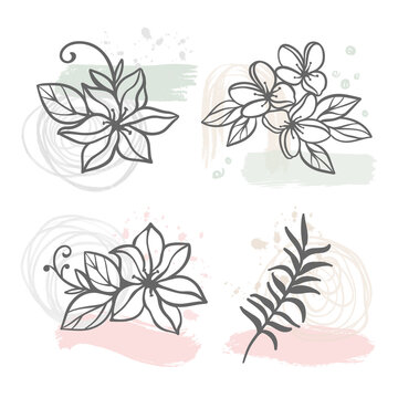 ABSTRACT LINE FLOWERS Floral Sketch With Hydrangea Jasmine Sakura Flowers And Branch On White Background Botanic Cartoon Clip Art Vector Illustration Set