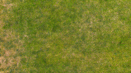 Lawn grass texture background. Top view from drone.