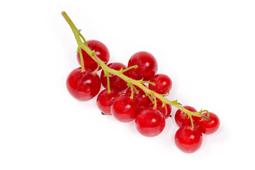 Raceme of the redcurrant on a white background, close-up