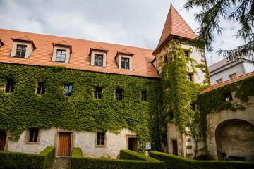 Fototapeta na wymiar Benesov nad Ploucnici, North Bohemia, Czech Republic, 26 June 2021: old saxoxy renaissance castle at summer sunny day, stone towers with spiers, ivy braided beige walls, green trees at the street