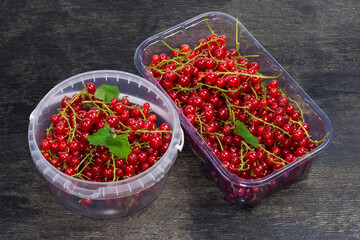 Freshly harvested redcurrant in two round and rectangular food containers