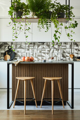 Stylish kitchen interior design with dining space. Workspace with kitchen accessories on the back ground. Creative walls. Minimalistic style an plant love concept.