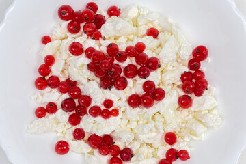 Top view of cottage cheese with fresh redcurrant, close-up