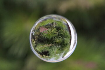 バブル, せっけん, 球体, 緑, 自然, 空, 地球, バブル, 世界, 旋律の美しい, 青, アブストラクト, 水, グラス, 草, 地球, ボール, 楽しい, サマータイム, 惑星, 浮いている, 光, 円