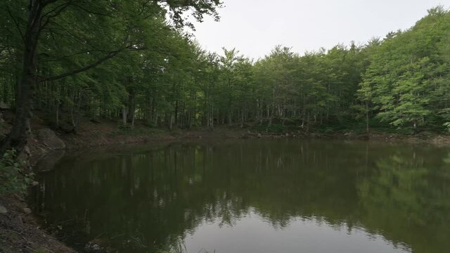 Camminare in 4k