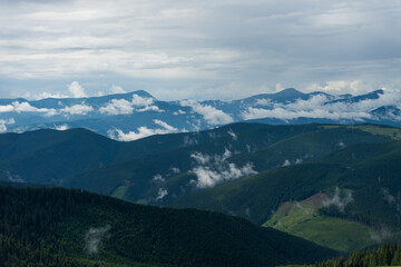 Fototapeta premium Rainy weather in Carpathian Mountains