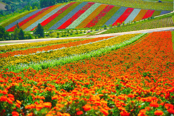 Biggest garden in Hokkaido