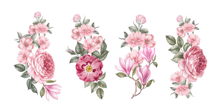Watercolor elements of blooming flowers. Set garden flowers. Collection botanic illustration leaves, flower and branches.