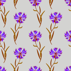 Cornflowers seamless pattern, watercolor illustration.