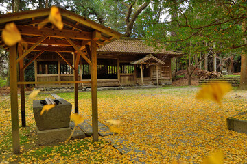 秋の秋月八幡宮「手水舎と絵馬殿」