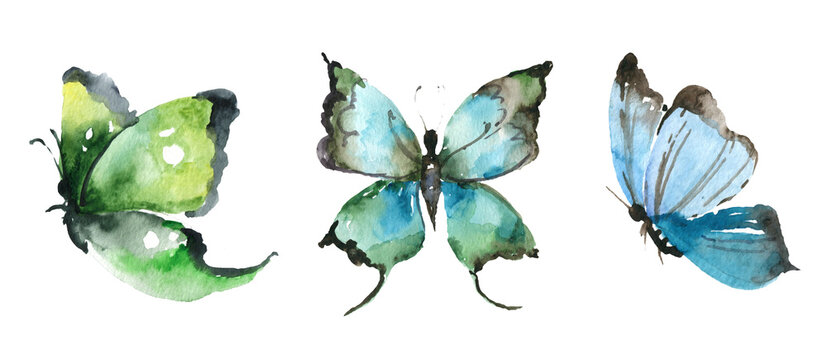 watercolor butterfly set Watercolor painting for your design