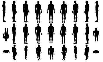 Set with silhouettes of a body of a man in different positions isolated on a white background. Vector illustration