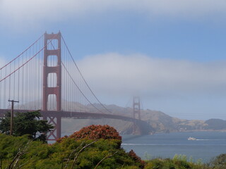 San Francisco - California Dreamin'