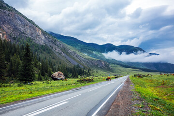 A highway in the intermountain valley. Ongudaysky district, Altai Republic
