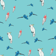 Vector blue background tropical birds, parrots, macaw, exotic cockatoo birds. Seamless pattern background