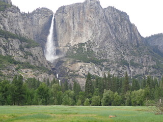 Yosemite National Park