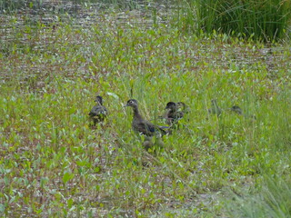 Yosemite National Park