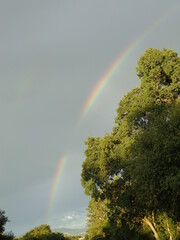 Yosemite National Park