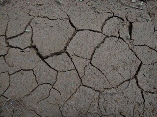 cracked mud rough texture, close-up view